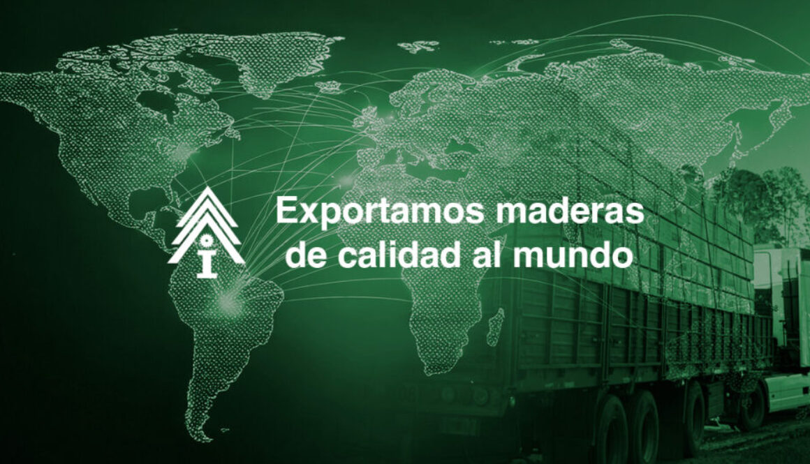 03-blog_expo